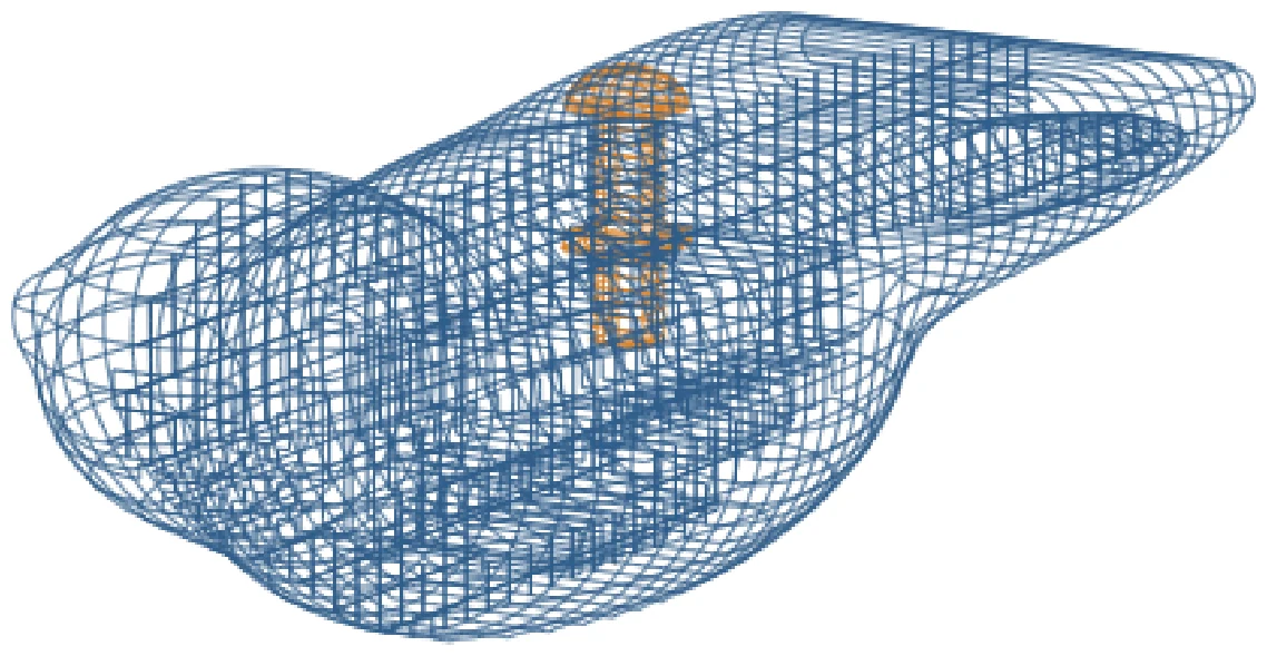 Wireframe of the bird seen from the front and left